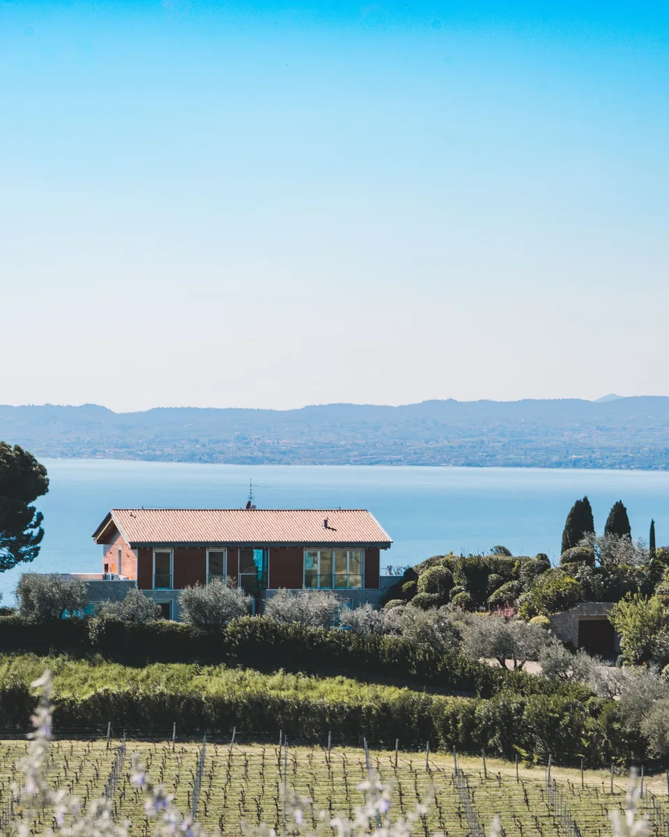 A russet farmhouse above its own vineyard rows, a wide lake and blue hills behind it
