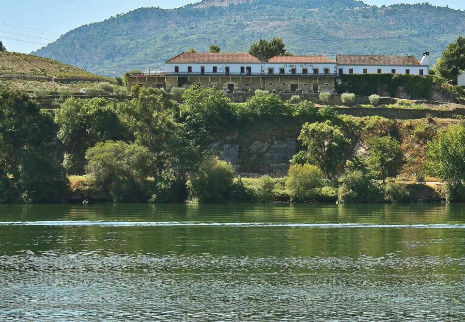The white manor house of Quinta do Tedo above the terraced Douro